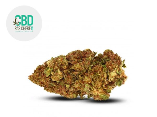 Fleur Girl Scoot Cookies CBD Indoor 18% - CBD Pas Chère