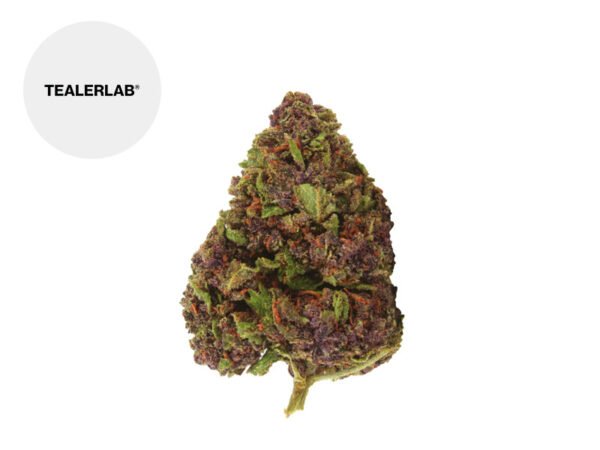 Fleur Apple Jack THC+ Indoor 20% - TealerLab