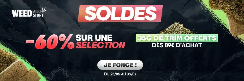 WSS soldes