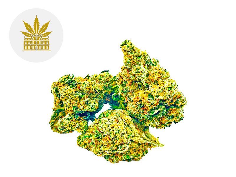 Fleur Amnesia Haze CBD Indoor 13% - Maison Nassoy Le Baron