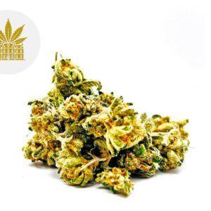 Fleur Lemon Grace CBD Indoor 8% - Maison Nassoy Le Baron