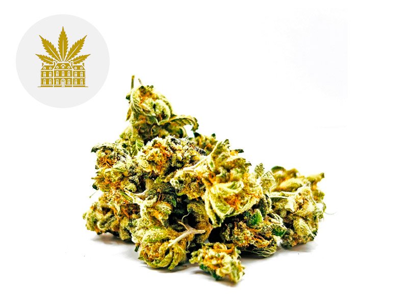 Fleur Lemon Grace CBD Indoor 8% - Maison Nassoy Le Baron