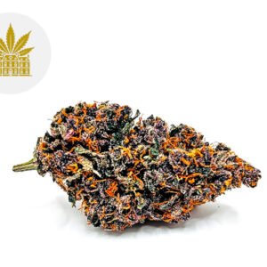 Fleur Tarmac CBD Indoor 3% - Maison Nassoy Le Baron