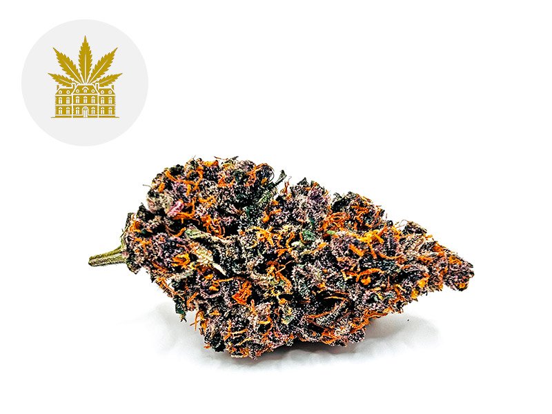 Fleur Tarmac CBD Indoor 3% - Maison Nassoy Le Baron