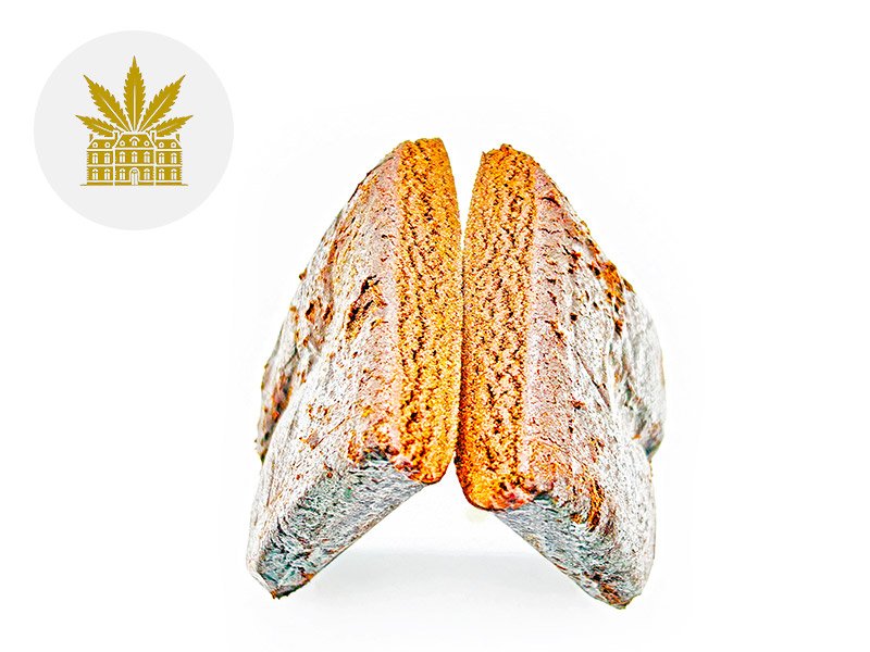 Hash La Crème CBD 38% - Maison Nassoy Le Baron