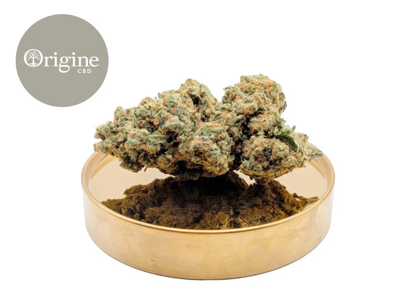 Fleur Lemon Berry CBD (Sans THC) Indoor 20% - Origine CBD