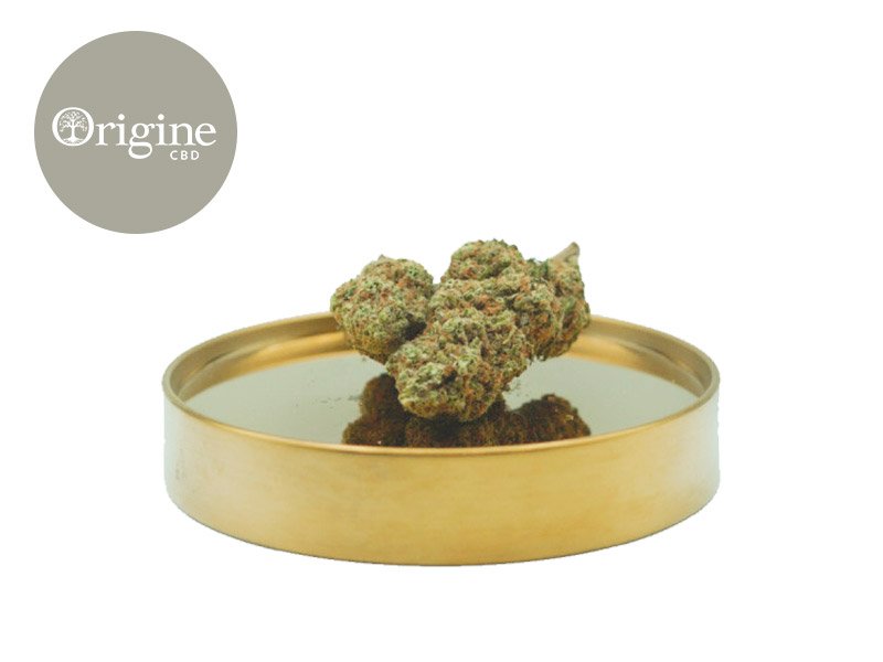 Fleur Super Skunk CBD (Sans THC) Indoor 15% - Origine CBD