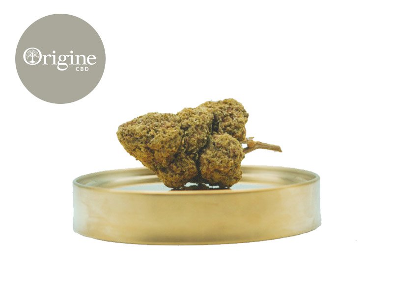 Fleur White Widow CBD (Sans THC) Indoor 15% - Origine CBD