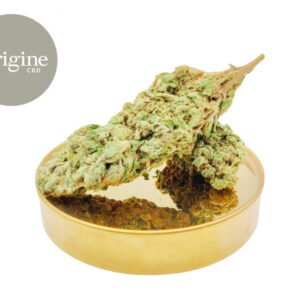 Fleur White Frost CBD Indoor 11% - Origine CBD