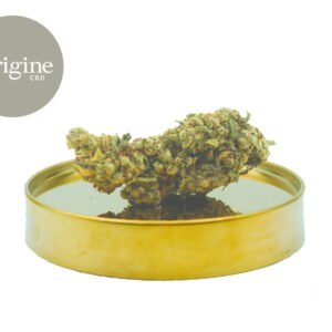 Fleur Northern Light CBD Indoor 11% - Origine CBD
