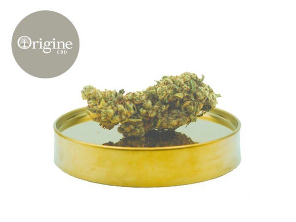 Fleur Northern Light CBD Indoor 11% - Origine CBD