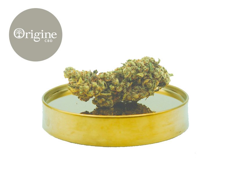 Fleur Northern Light CBD Indoor 11% - Origine CBD