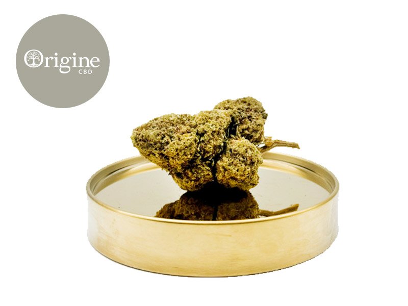 Fleur Ice Cream Cake USA CBD Indoor 11% - Origine CBD
