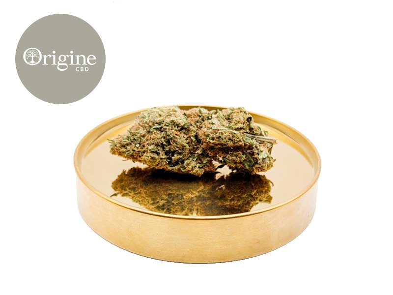 Fleur Hawaiian Skunk CBD Indoor 11% - Origine CBD
