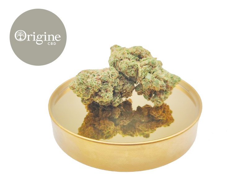 Fleur Wedding Cake CBD Indoor 11% - Origine CBD