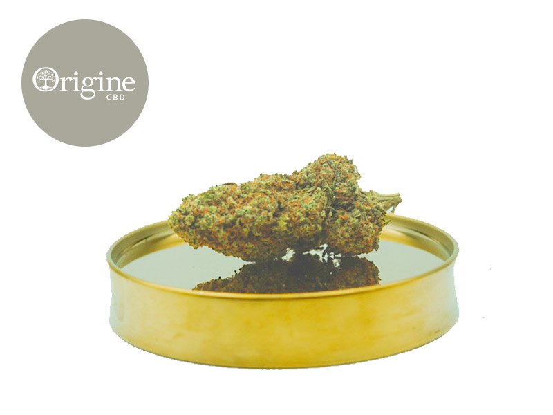 Fleur Purple Haze CBD Indoor 11% - Origine CBD