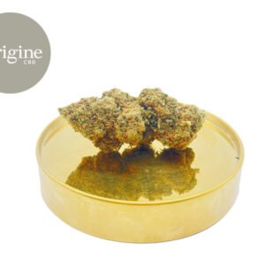 Fleur Amnesia Kush CBD Greenhouse 11% - Origine CBD