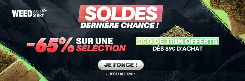 WSS soldes
