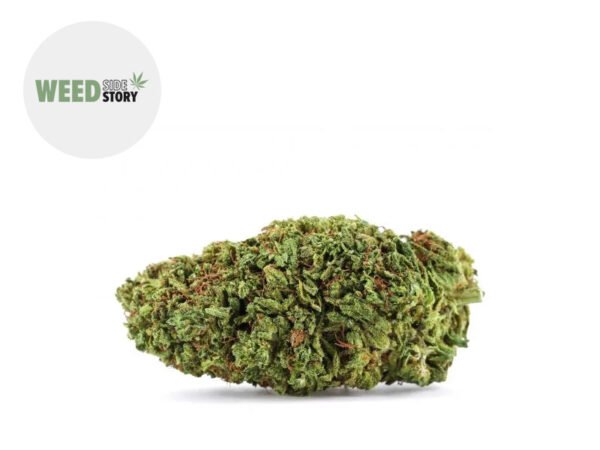 Fleur Blue Dream CBD+ Indoor 32% - Weed Side Story