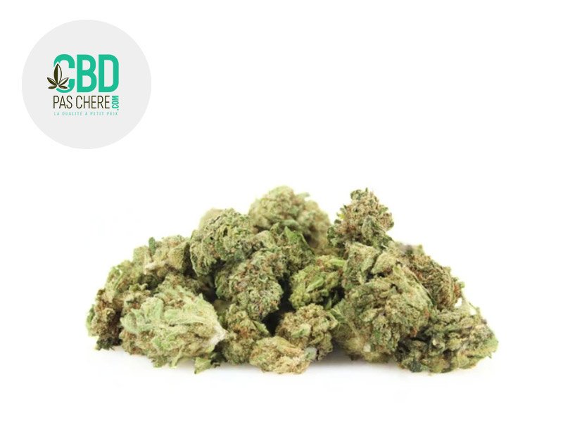 Fleur Mini Bud AK-OG CBD+ Indoor 29% - CBD Pas Chère