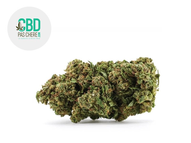 Fleur Runtz CBD+ Indoor 32% - CBD Pas Chère