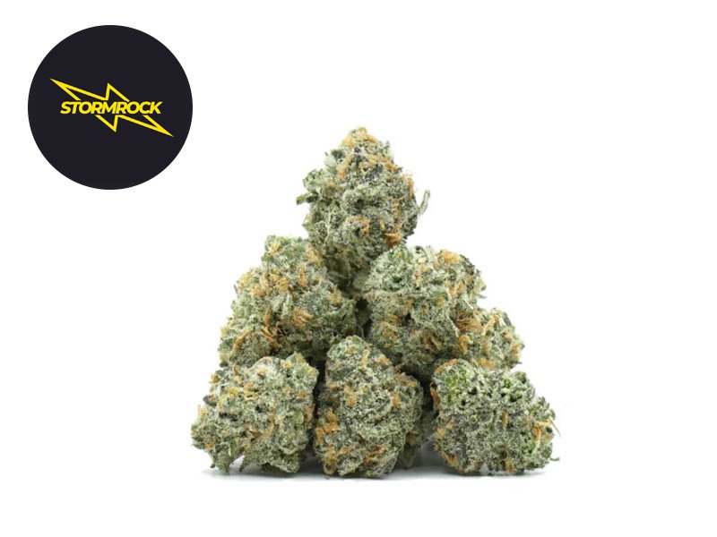 Fleur Pop Corn Lemon Tonic CBD+ Indoor 31% - Stormrock