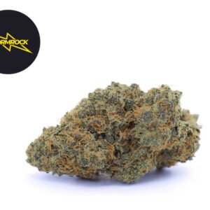 Fleur Bubble Gum CBD+ Indoor 33% - Stormrock