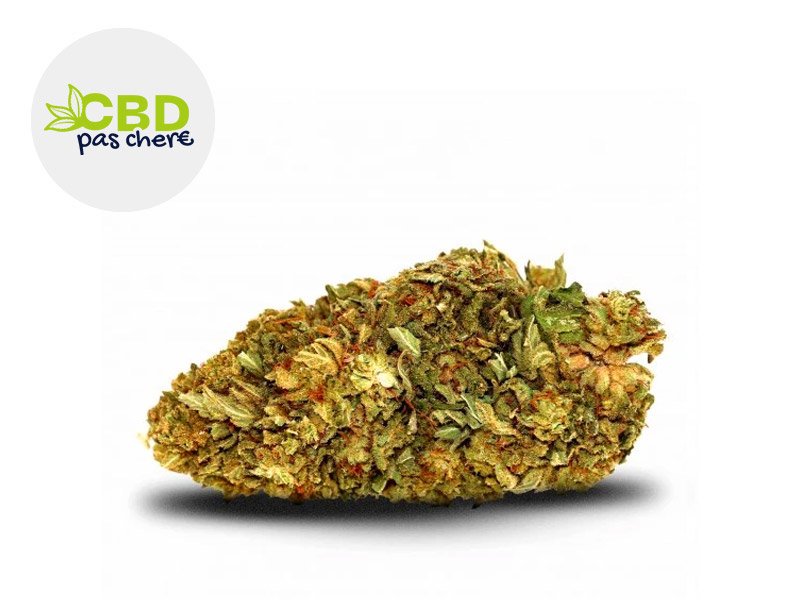 Fleur Amnesia CBD Indoor 17% - CBD Pas Chère