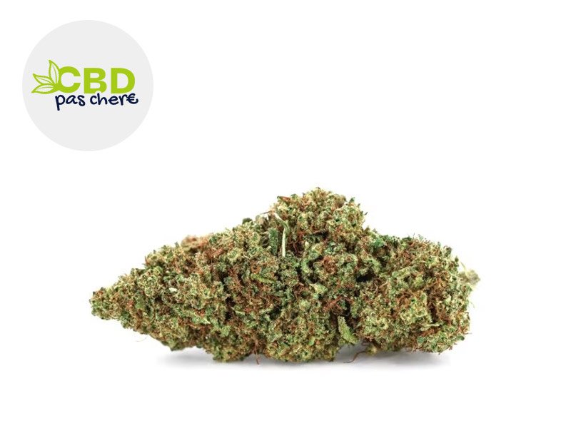 Fleur Gelato CBD Indoor 18% - CBD Pas Chère