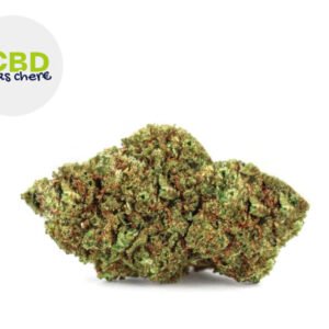 Fleur Mango Kush CBD Indoor 20% - CBD Pas Chère