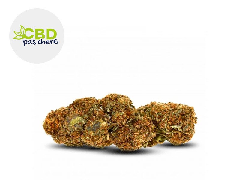 Fleur AK-47 CBD Greenhouse 15% - CBD Pas Chère