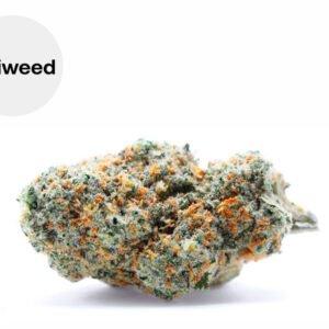 Fleur Mango Haze CBD Indoor 23% - Okiweed