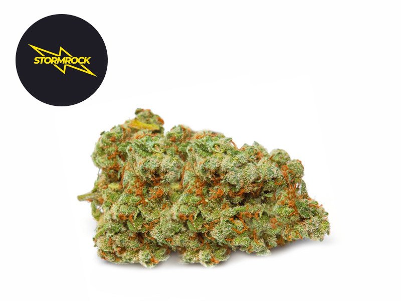 Fleur Girl Scout Cookies CBD Indoor 21% - Stormrock