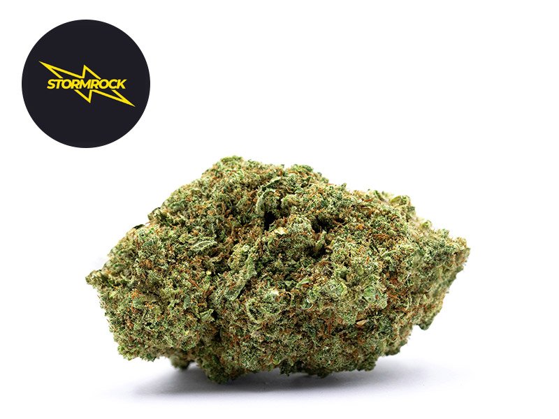 Fleur Gorilla Glue #4 CBD Premium Indoor 29% - Stormrock