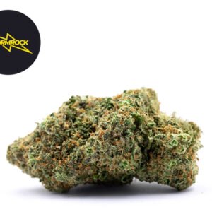 Fleur Bubble Gum Amsterdam Genetics CBD Premium Indoor 30% - Stormrock