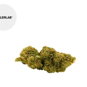 Fleur Lemon skunk CBD Outdoor 12% - TealerLab