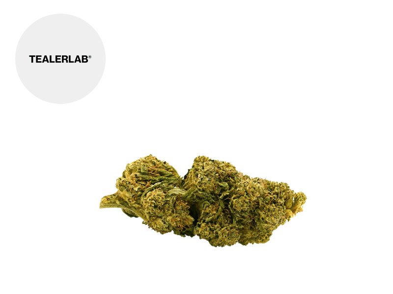 Fleur Lemon skunk CBD Outdoor 12% - TealerLab
