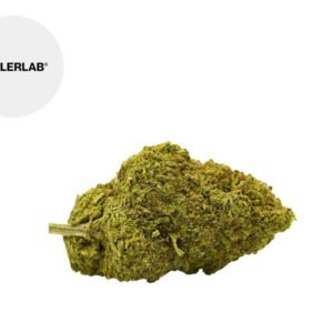 Fleur Amnesia CBD Indoor 12% - TealerLab