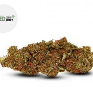 Fleur Gelato CBD Greenhouse 27% - Weed Side Story