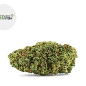 Fleur Blue Dream CBD+ Indoor 32% - Weed Side Story