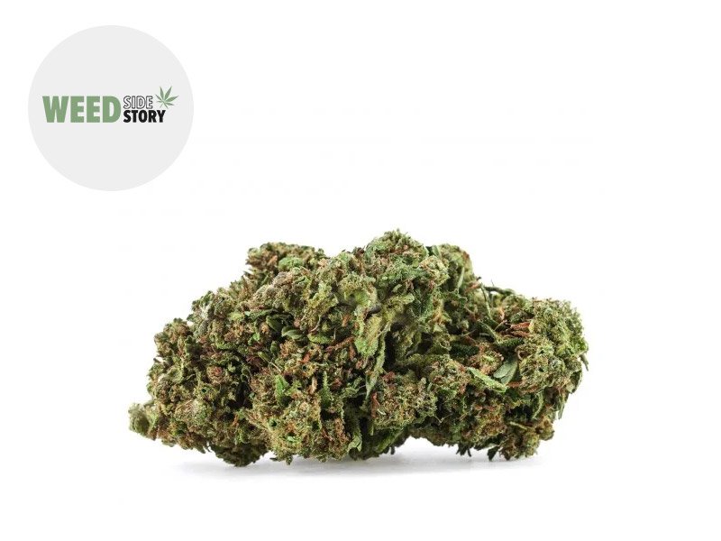 Fleur Forbidden Fruit CBD+ Indoor 33% - Weed Side Story