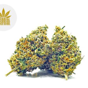 Fleur Siddhartha Queen CBD Greenhouse 4% - Maison Nassoy Le Baron