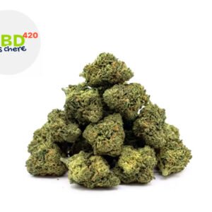 Fleur Mini Bud Sour Skunk THV+ Indoor 20% - CBD Pas Chère 420