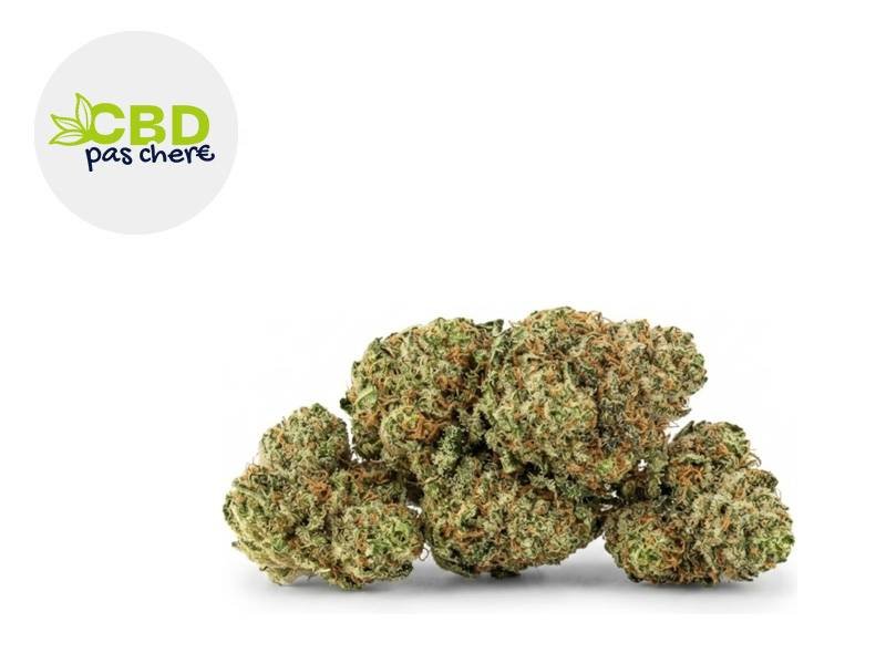 Fleur Kush'N'Haze CBD Boost Indoor 28% - CBD Pas Chère