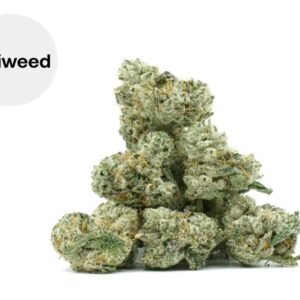 Fleur Small Buds Jack Herer CBD+ Greenhouse 28% - Okiweed